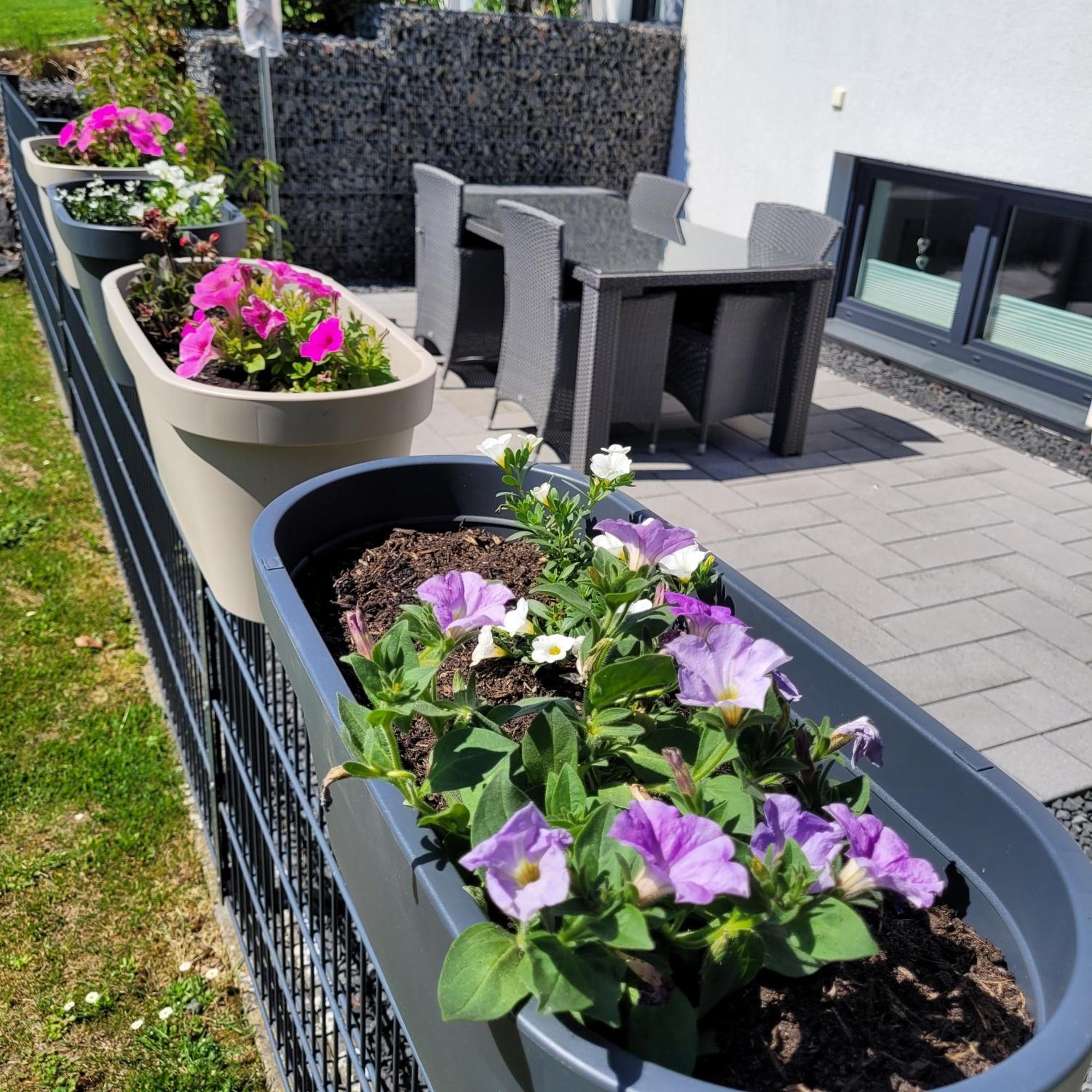 Apartment Eifelherz Mit Sonnenterrasse Nideggen